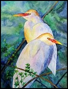 cattle-egrets-patricia-beebe