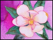 magnolia-yupo-patricia-beebe