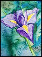 yupo-iris-patricia-beebe