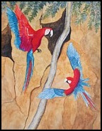 macaw-claylick-patricia-beebe