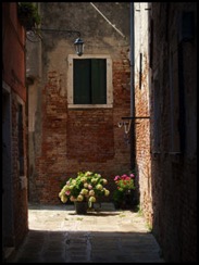 flowers-at-the-end-of-the-alley-david-beebe.html