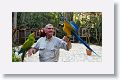 Great Green Macaw, Scarlet Macaw, Blue and yellow Macaw and Andrew