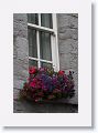 Flower boxes are a common architectural feature throughout all of Ireland