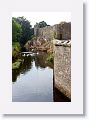 Geese (domestic) at Cahir Castle on the River Suir