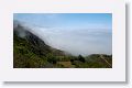 We decided to head south again on Highway 1 to see Big Sur with a heavy sea fog