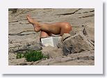 I like this image... along a field of coastal rocks stick up a pair of legs and a book