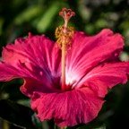 JoElla-April-00005.jpg