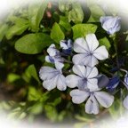 JoElla-April-00010.jpg