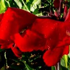 Margaret-April-00007.jpg