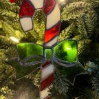David-December-017.jpg