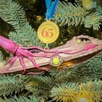 David-December-030.jpg