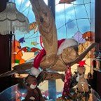 David-December-031.jpg