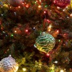 Margaret-December-010.jpg
