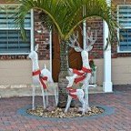 Marty-December-010.jpg