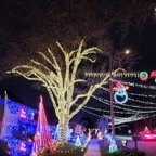 Mary-December-020.jpg