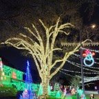 Mary-December-021.jpg