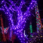 David-December-00037.jpg