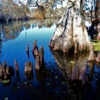 Campbell-December-00002.jpg