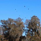 Campbell-December-00005.jpg