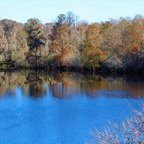 Campbell-December-00007.jpg