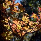 Pat-December-00022.jpg