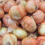 Marty-O-Onions.jpg