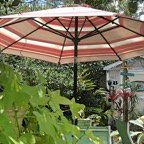 Marty-U-Umbrella.jpg