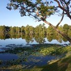 JoEllaWater-9.jpg