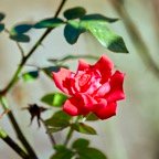 David-November-036.jpg