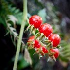 David-December-068.jpg