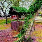 Pat-December-031.jpg