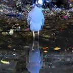 Mary-January-024.jpg