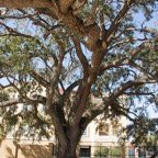 Campbell-February-037.jpg