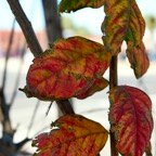 David-February-049.jpg