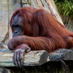Margaret-March-005.jpg