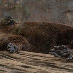 Margaret-March-019.jpg