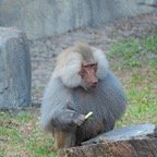 Mary-March-007.jpg