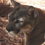 Pat-March-018.jpg