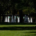 Pat-April-035.jpg