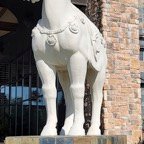 Mary-May-034.jpg
