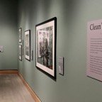 Campbell-June-011.jpg