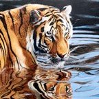 Pat-June-021.jpg