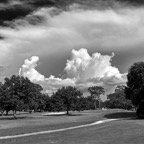 Pat-June-055.jpg