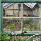 Pat-August-030.jpg