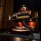 David-September-034.jpg