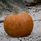 David-October-035.jpg