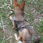 David-October-077.jpg