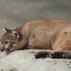 Pat-October-031.jpg