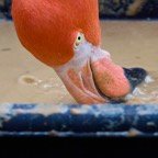 David-November-054.jpg