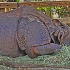 Mary-November-077.jpg